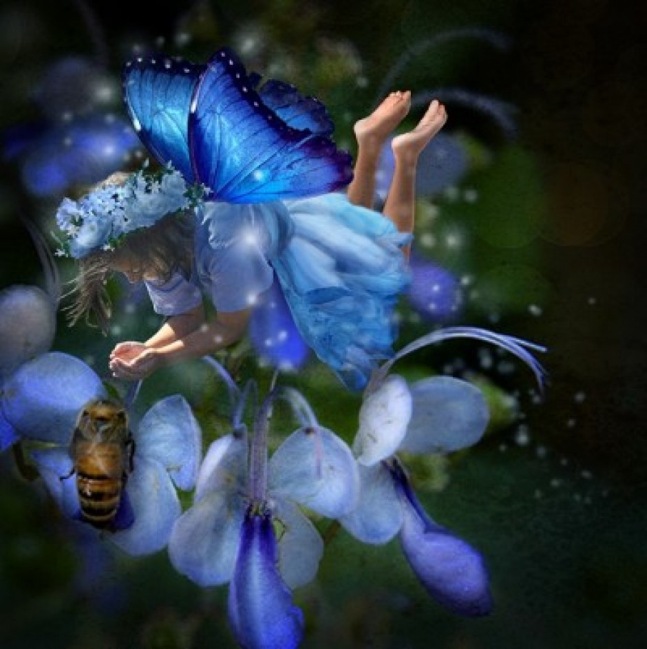 fairy cege / Color：Blue - 衣装