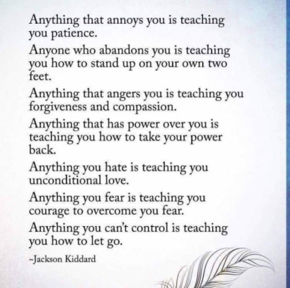 Anything and Everything is teaching you something