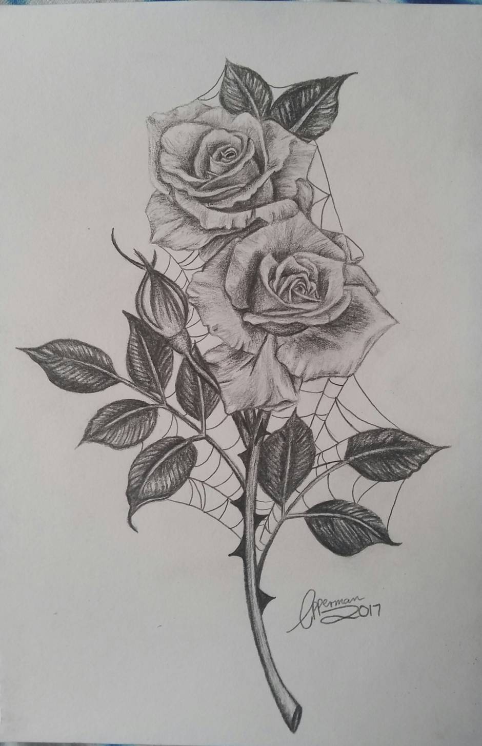 My Drawing «