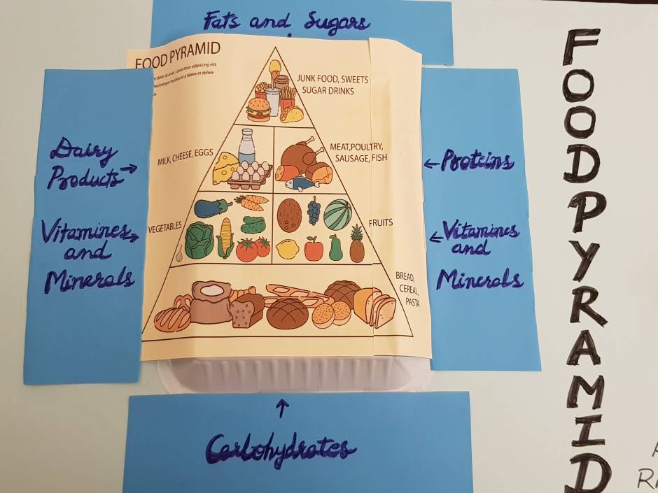 school-project-for-son-food-pyramid-craft-idea-class-4