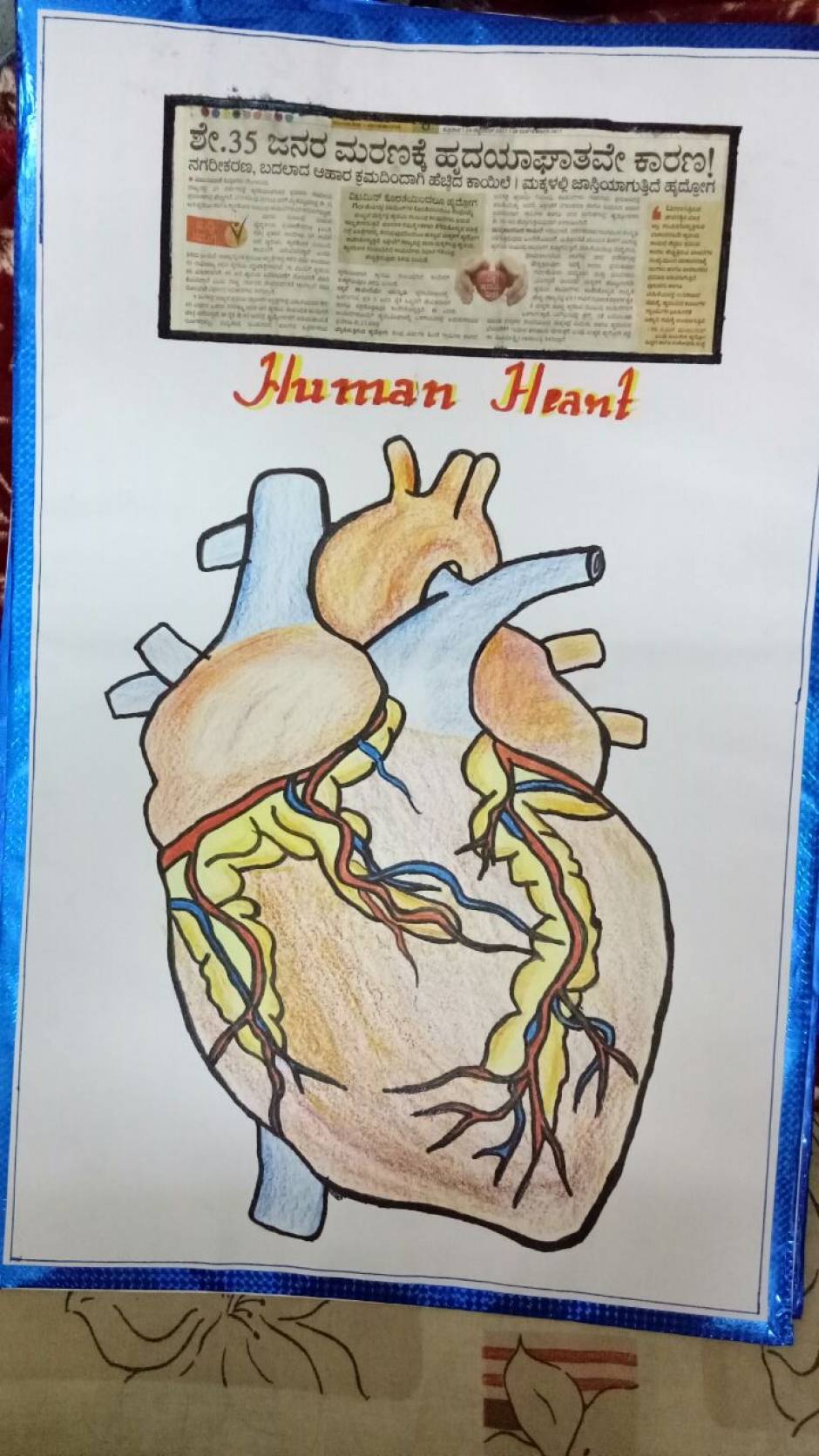 Featured image of post Drawing Of Human Heart With Colour How to draw human heart anatomy colour drawing for kids