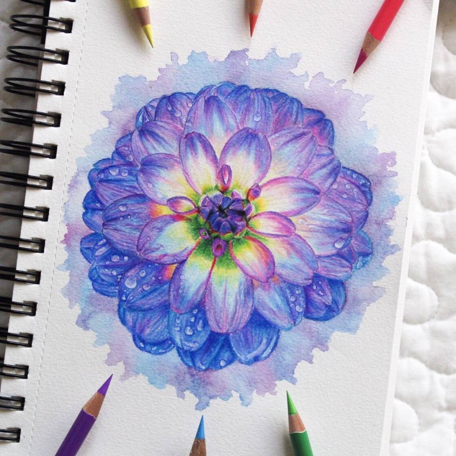 Colorful flower drawing 