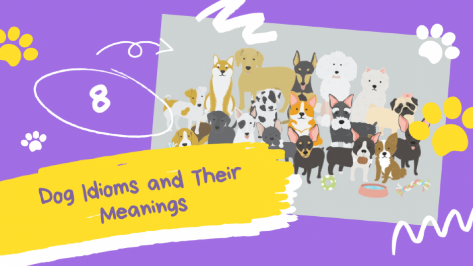 Top 8 Dog Idioms and Their Meanings