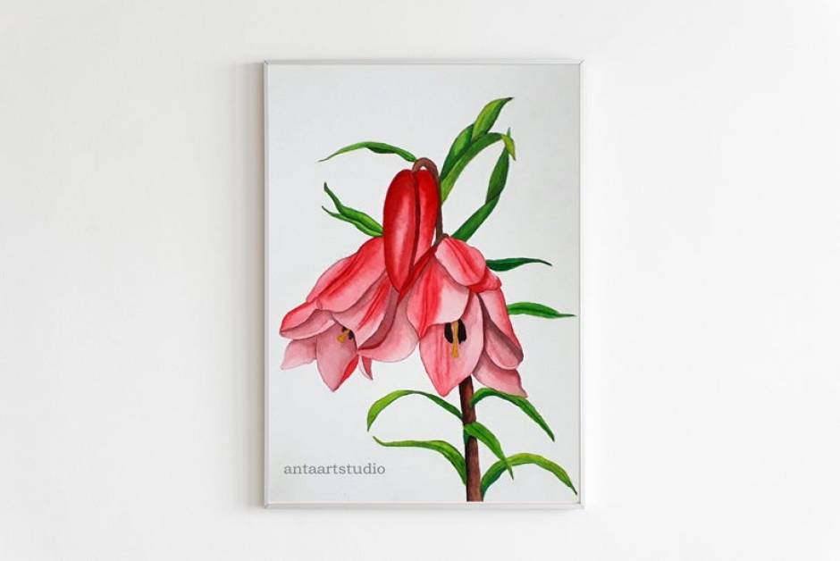 Shirui Lily Watercolor Painting