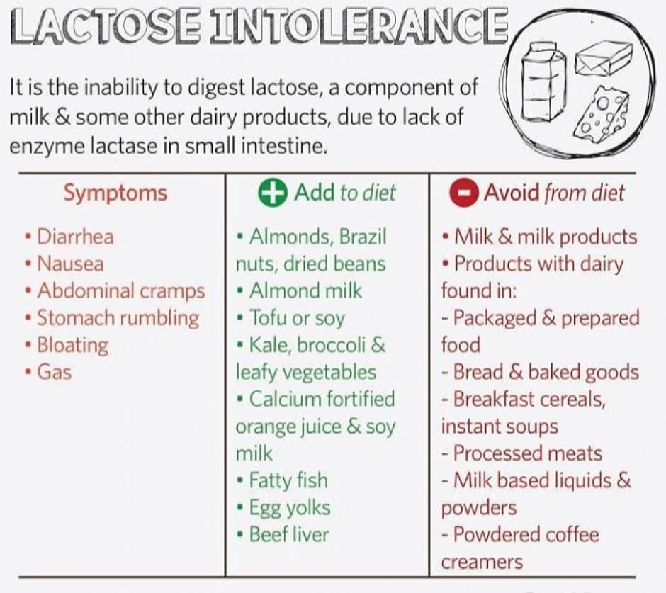 Foods To Eat Foods To Avoid In Case Of Lactose Intolerance   Img 20200205 115032 580 An0HEGcIyhKbNaBE 