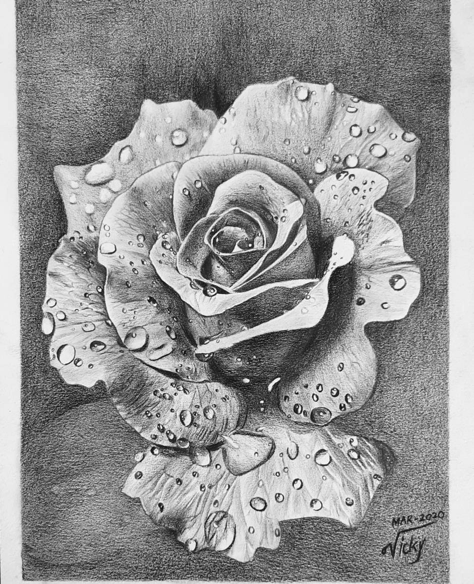 Realistic Pencil Drawn Rose Flowers Background. Hand Pencil Drawing On  Paper. Stock Photo, Picture and Royalty Free Image. Image 94219025.