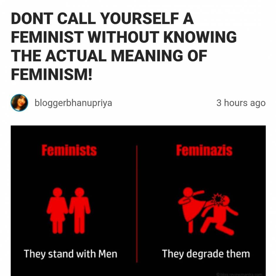 dont-call-yourself-a-feminist-without-knowing-the-actual-meaning-of