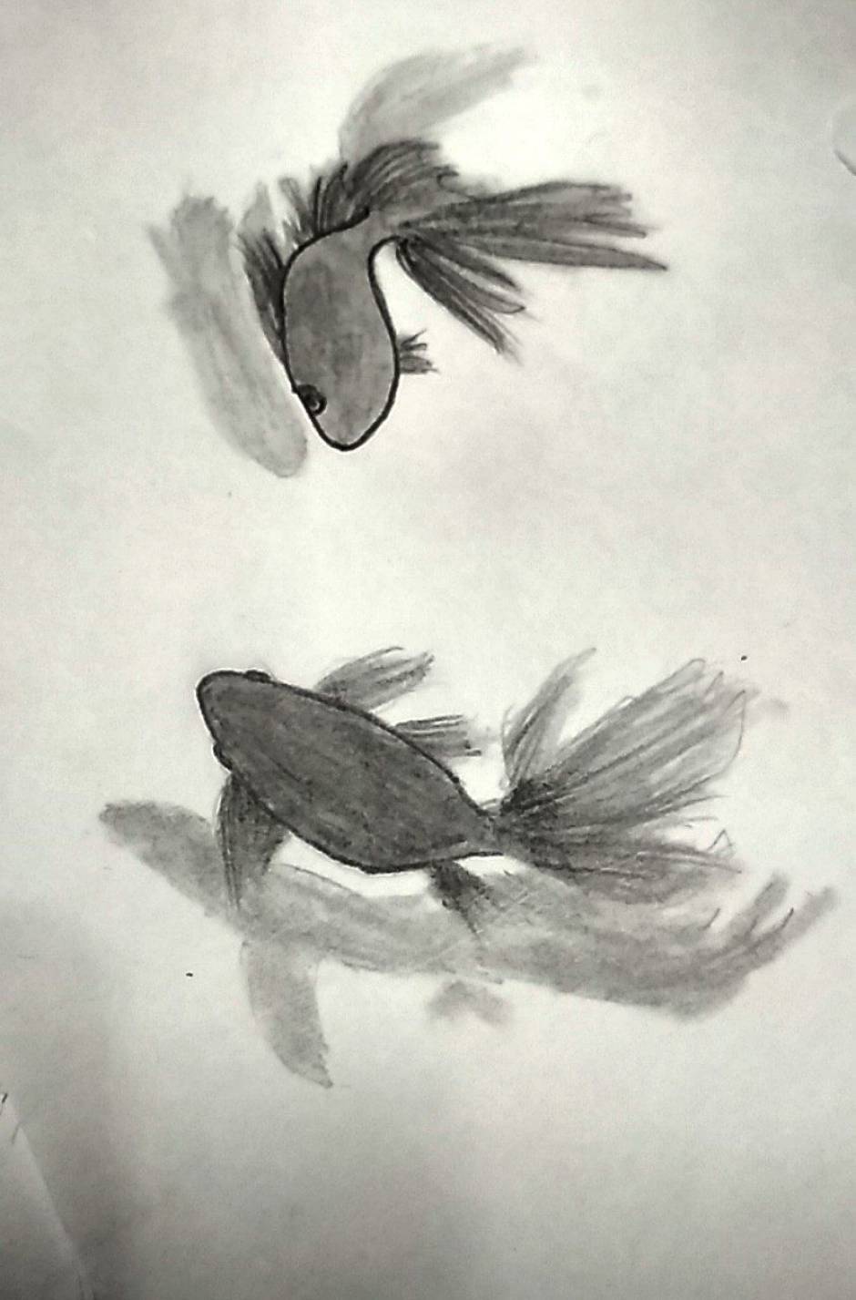 3d sketch of fish