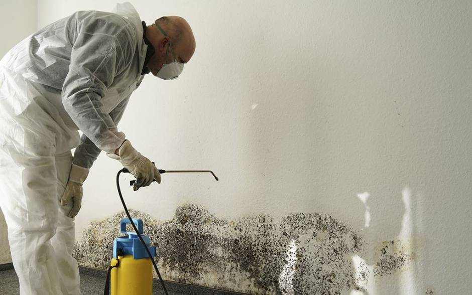 Make Efficient Remedy for Mould Removal in Melbourne