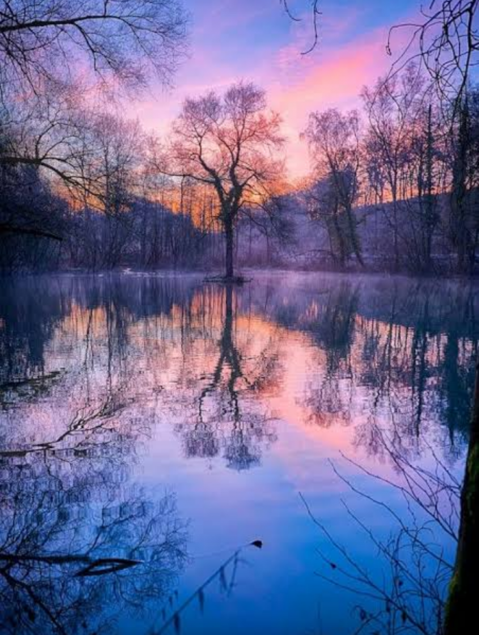 Amazing photo