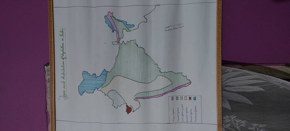 Types and distribution of vegetation in India