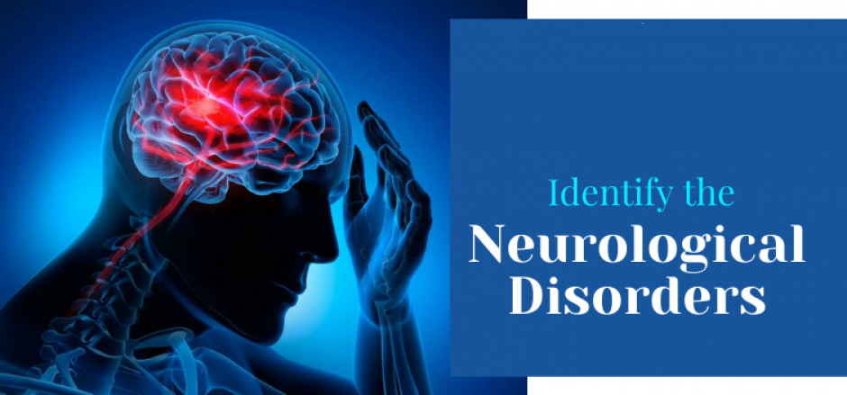 Guide On Neurological Disorders