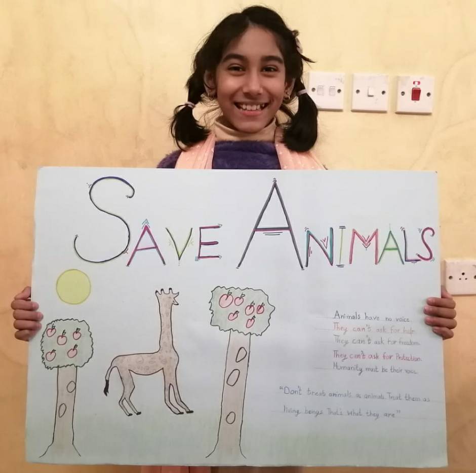 Save animals