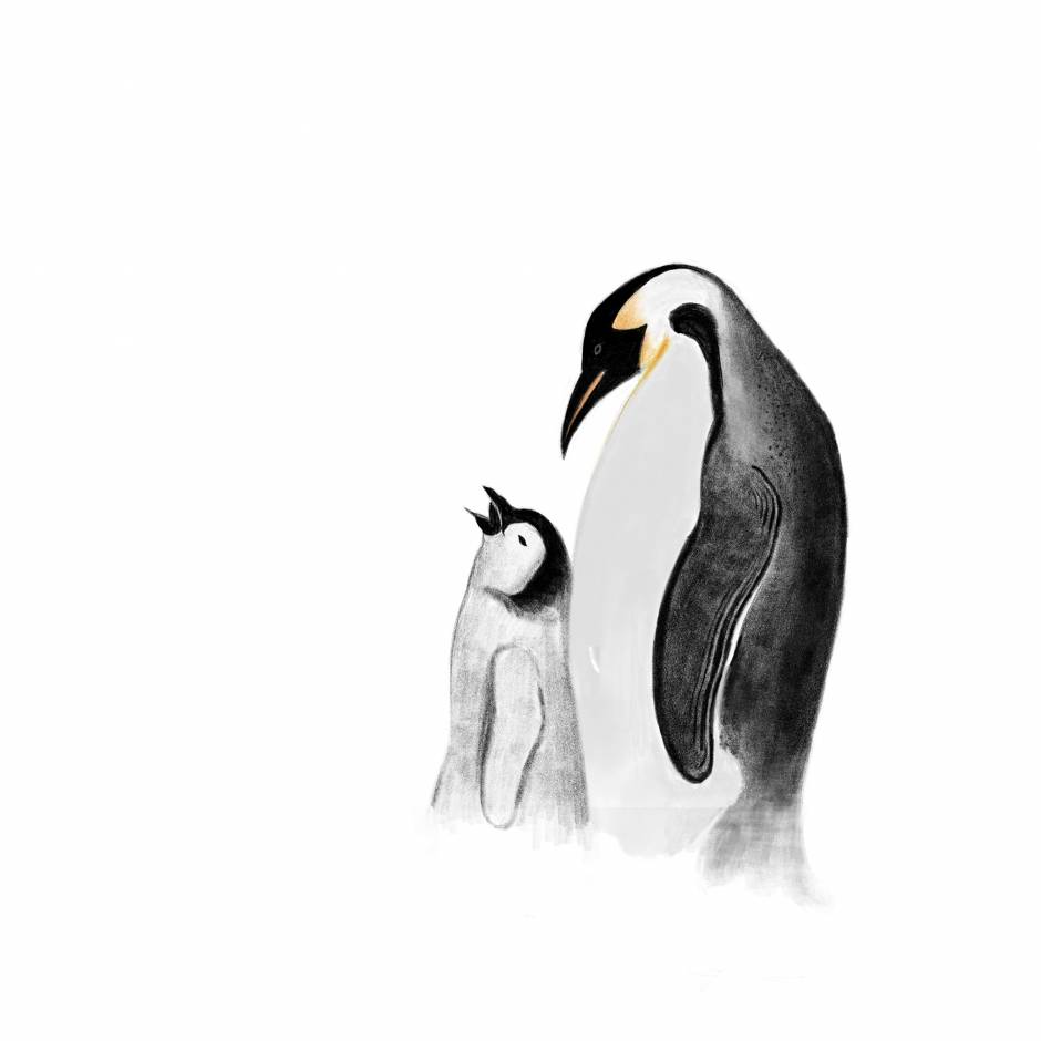 ''A cute baby penguin with mother''