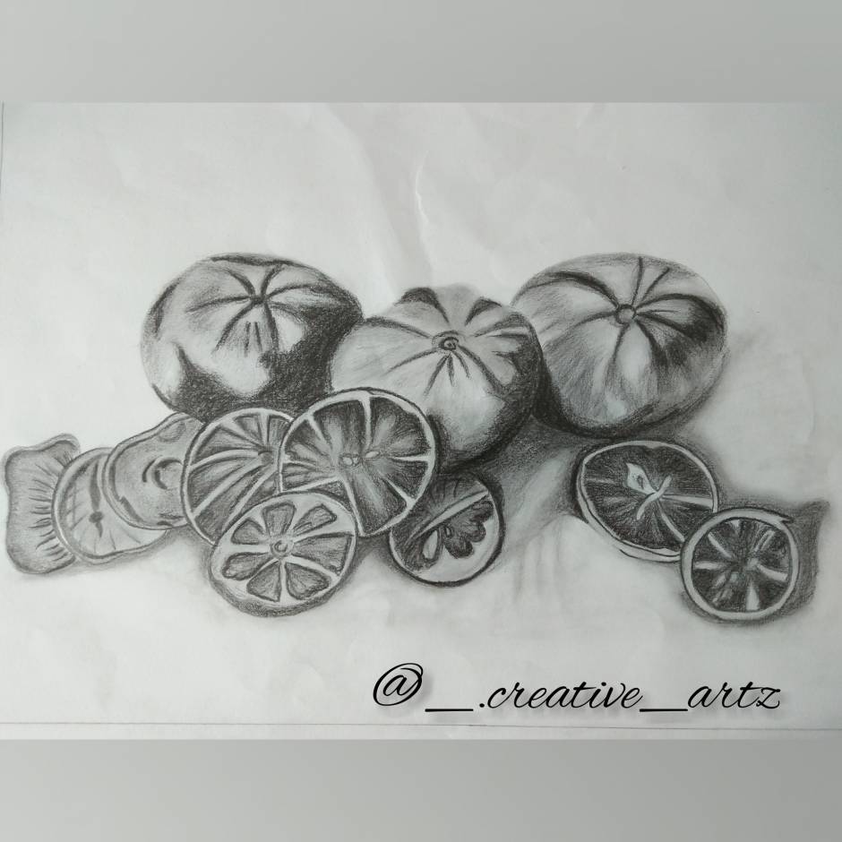 Still life Pencil Sketch