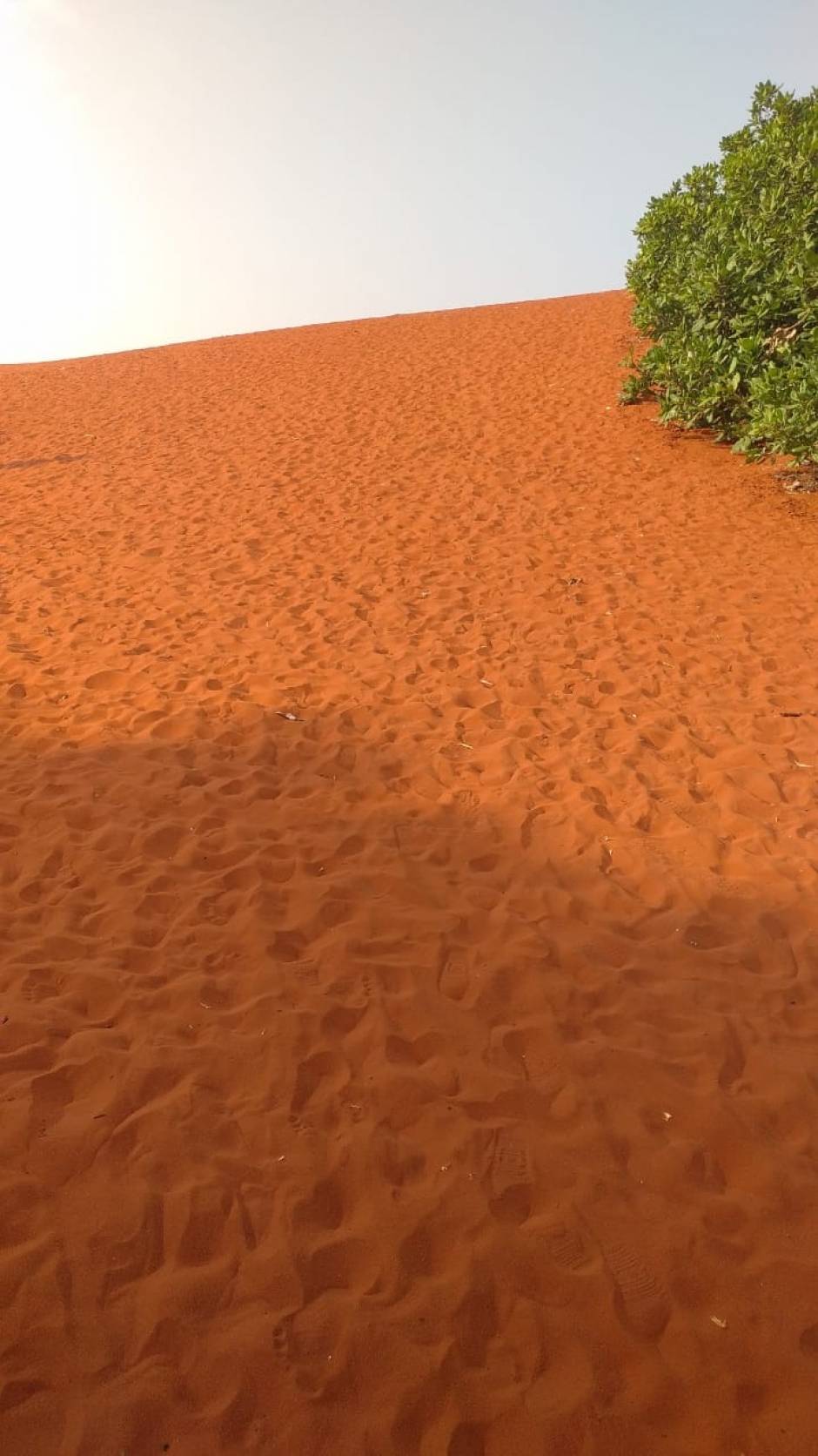 There is a desert in Tamil Nadu and the dunes are red