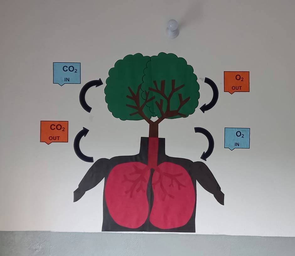 essay on trees are lungs