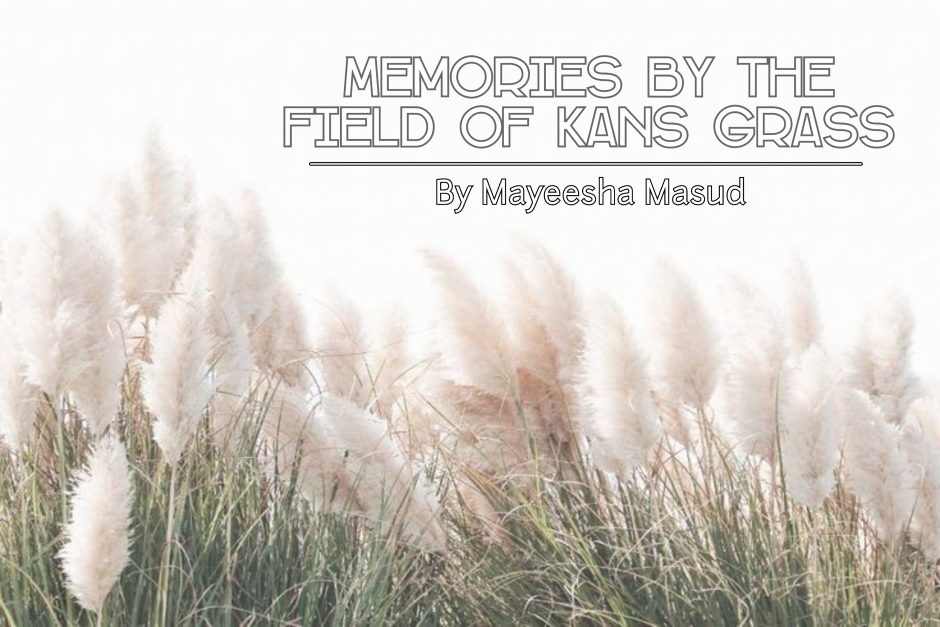Memories by the Field of Kans Grass