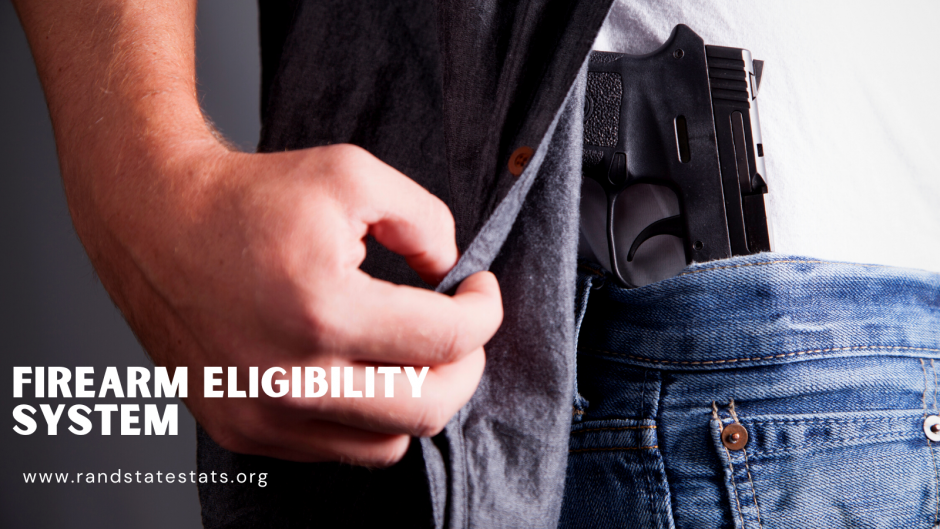 Firearm eligibility system