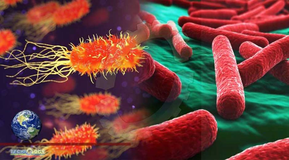 Does Hand Sanitizer Kills both Bacteria & Viruses?