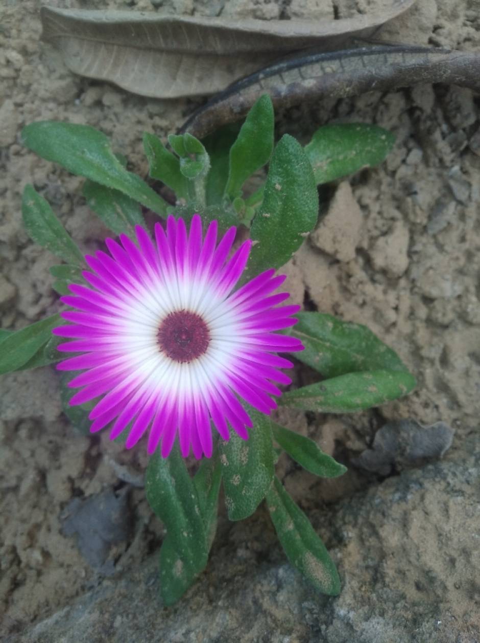 Positive explosion