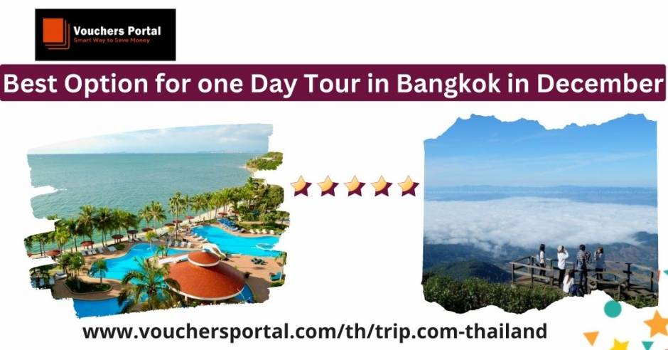 Best Option for one Day Tour in Bangkok in December