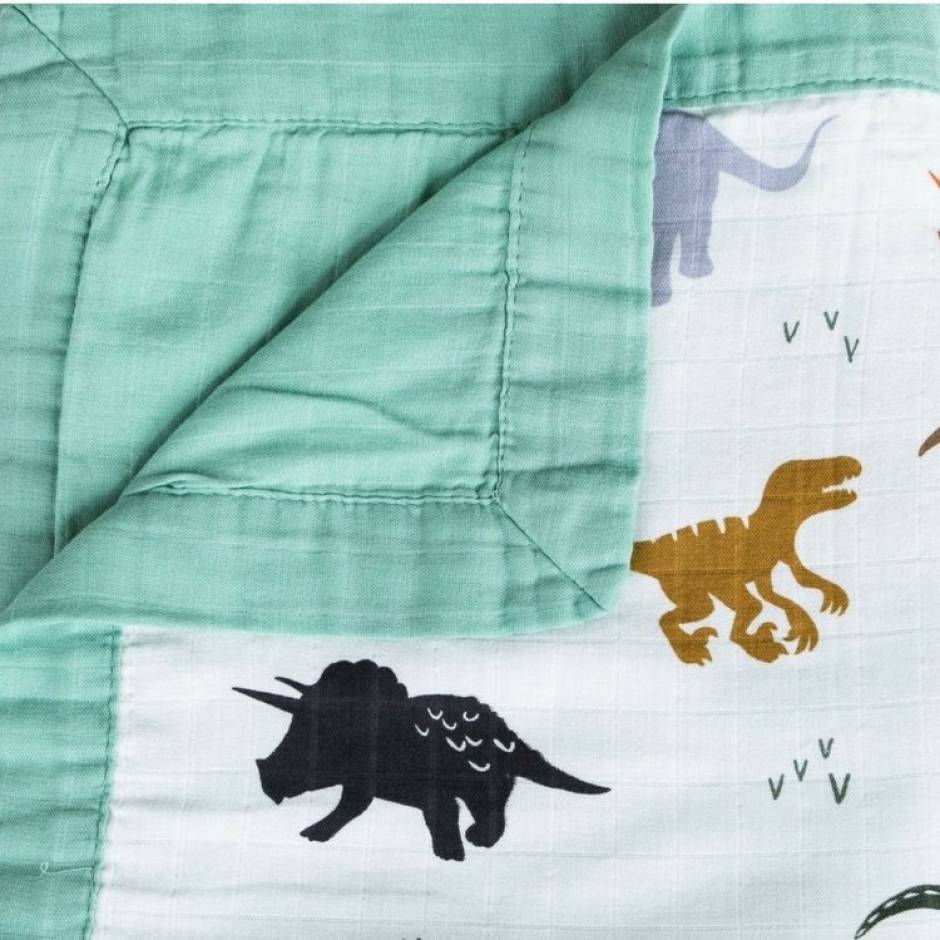 Importance Of Dinosaurs Blanket