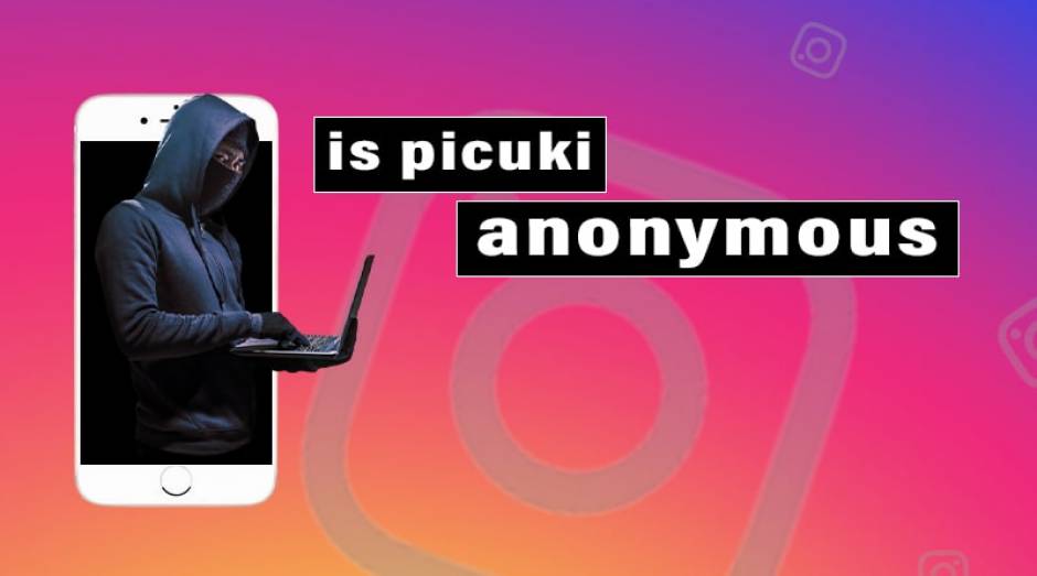 Picuki : Tool For Watch Instagram Stories Anonymously