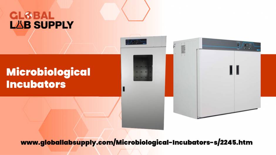 Benefits of Using Microbiological Incubators for Laborator