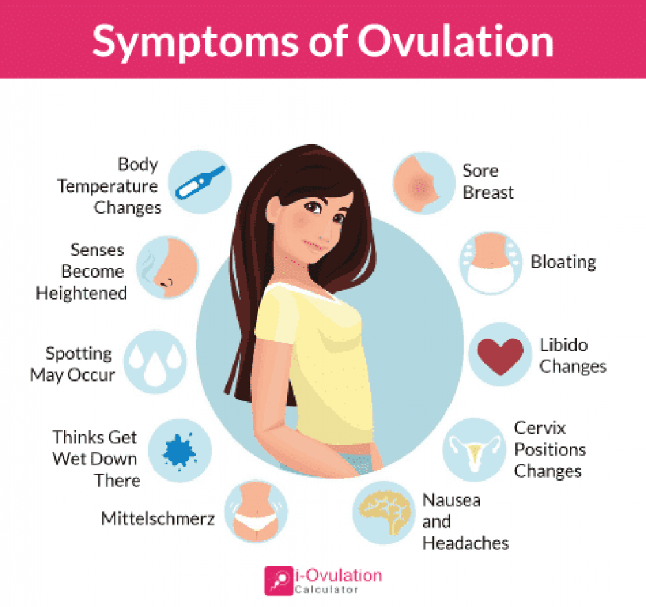 Ovulation Signs: When is Conception Most Likely