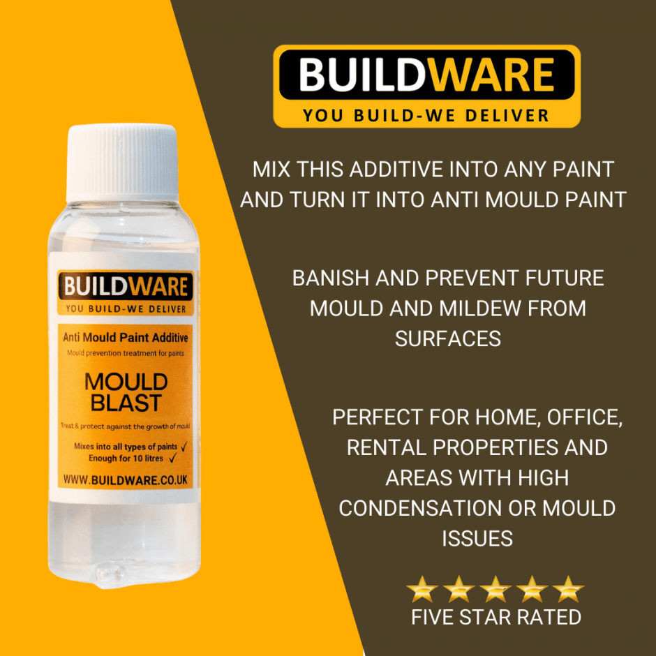 How Useful Is The Anti Mould Paint For You?