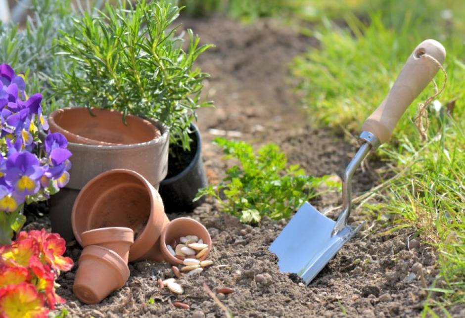 A StepbyStep Guide To Use Garden Trowel To Dig A Hole For A Plant