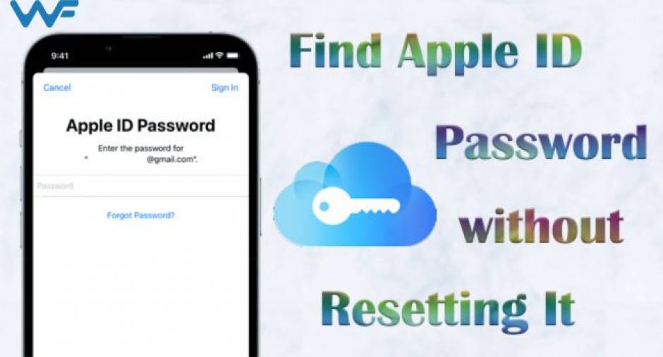 how-to-find-apple-id-password-without-resetting-it