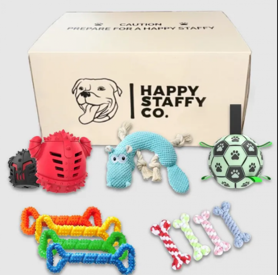 Here’s how to choose the Right Kind of Toys for Your Dog