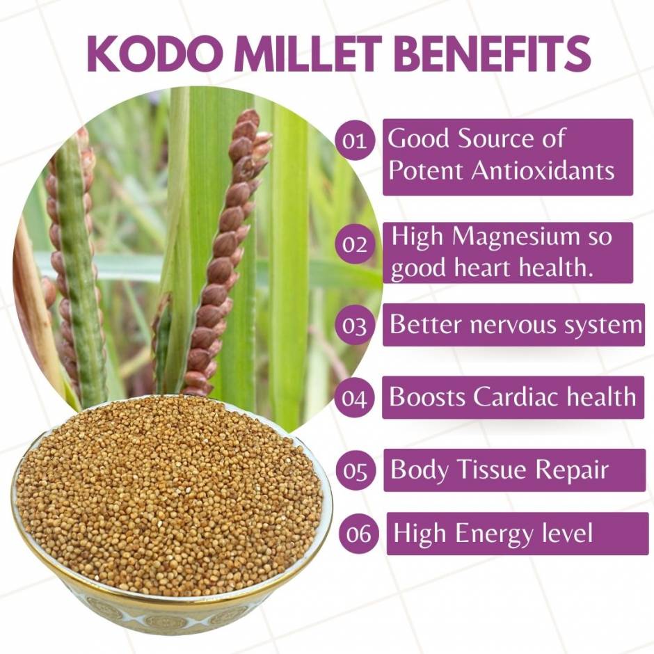 kodo-millet-benefits-for-health