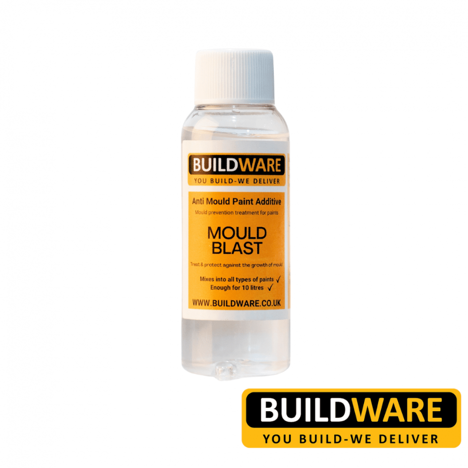 How Useful Is The Anti Mould Paint For You?