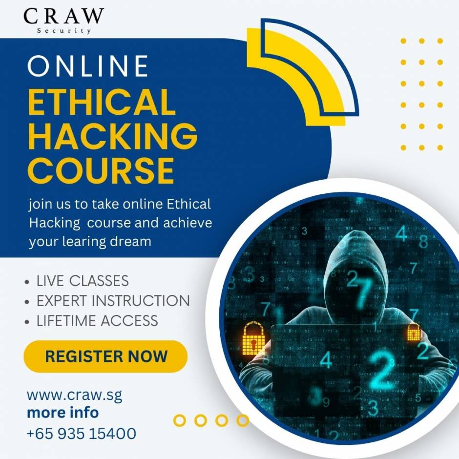 online hacking course