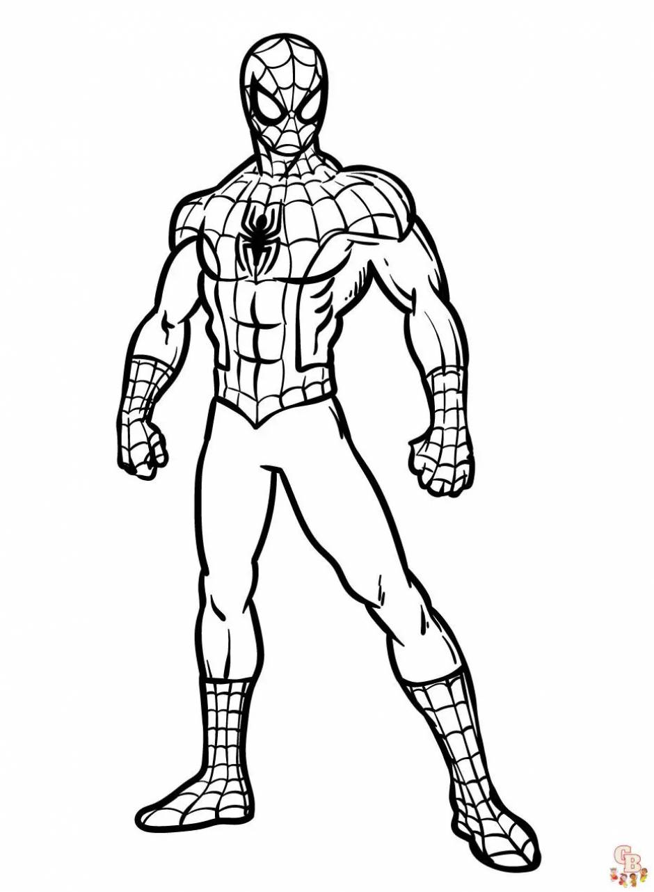 Learn How to Draw Spiderman Face (Spiderman) Step by Step : Drawing  Tutorials