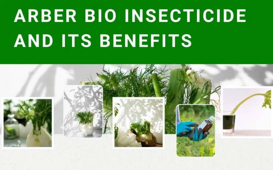 Arber Bio Insecticide