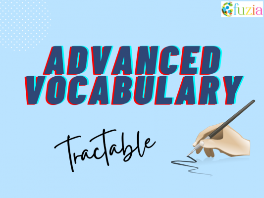 Advanced Vocabulary - 'tractable' - Fuzia