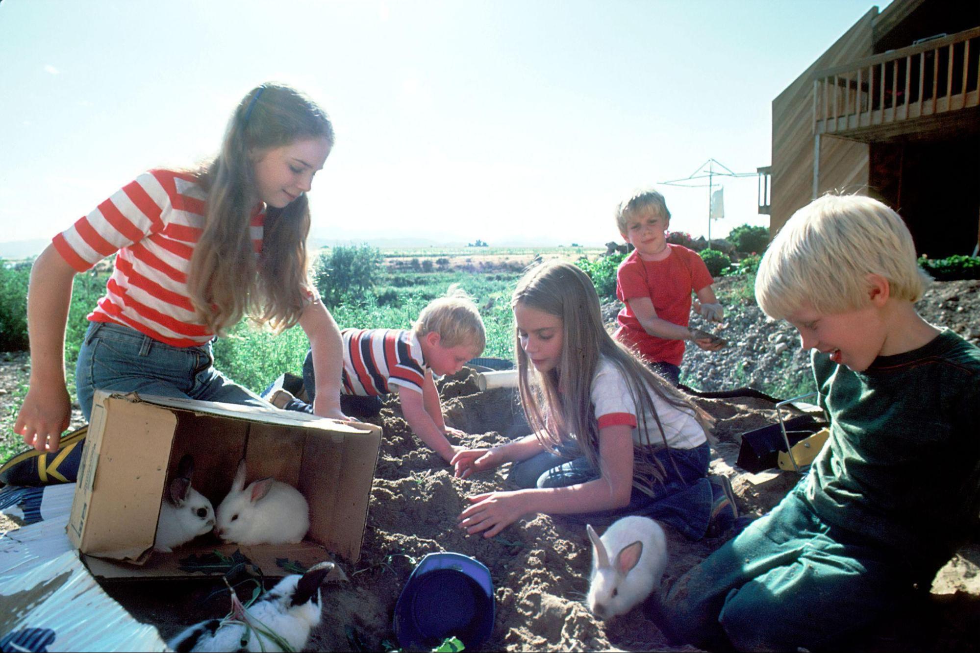 What Are The Qualities Of A Healthy Friendship