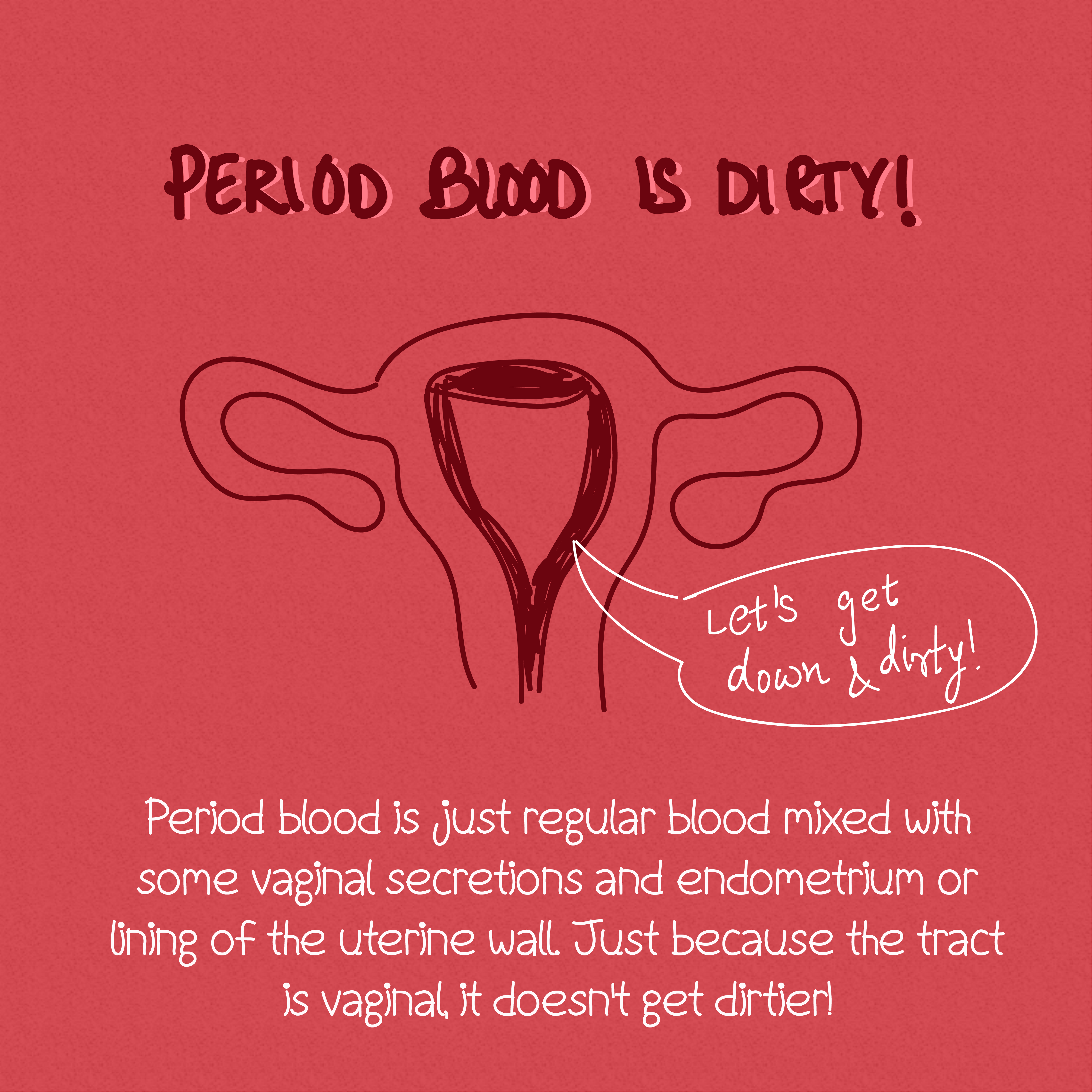 Menstruation Myths & Facts - Fuzia